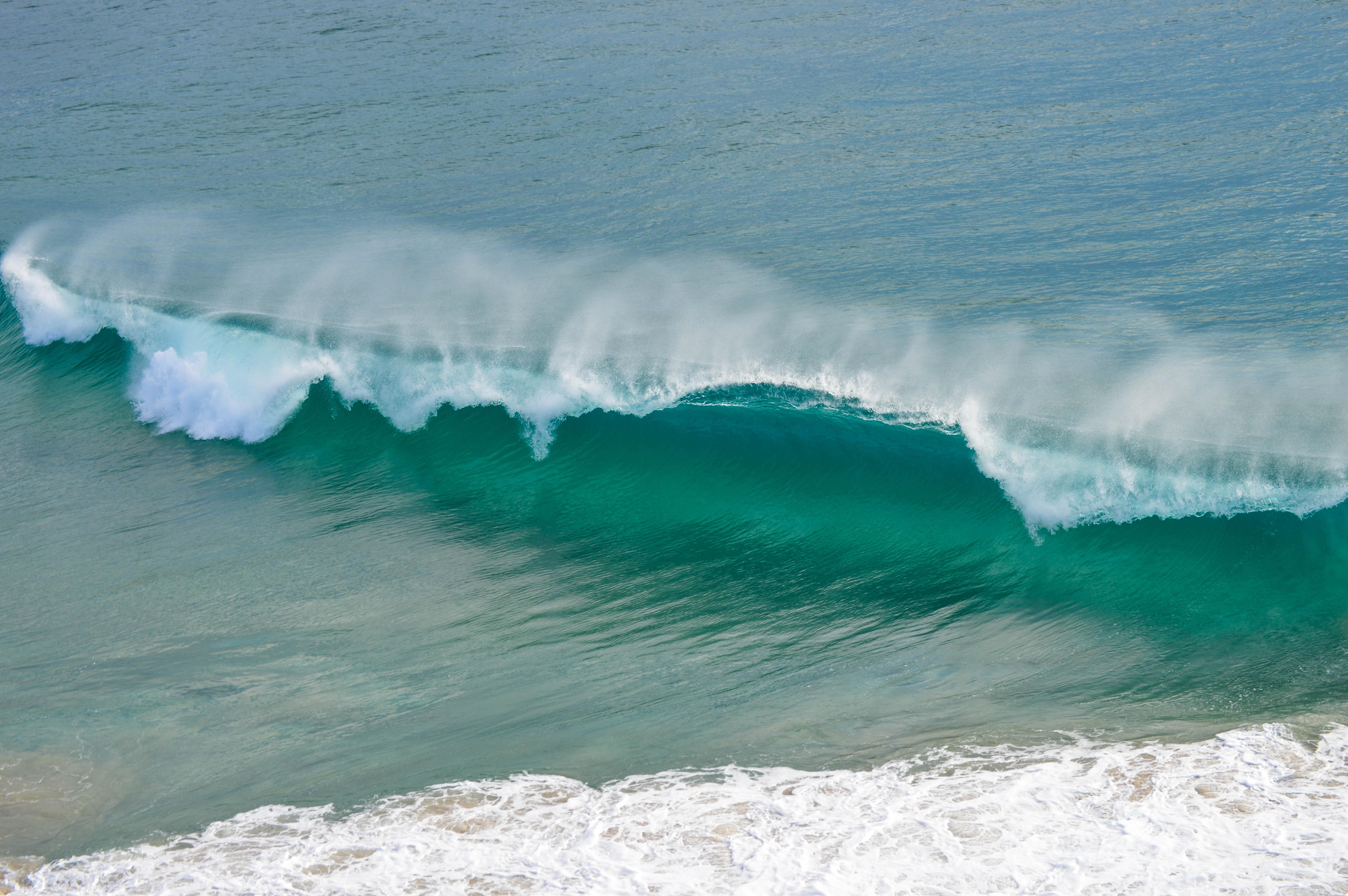 conservation of oceans